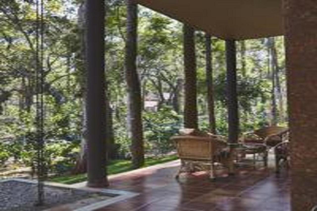 Hotel The Birchwood Retreat, Madikeri Zewnętrze zdjęcie