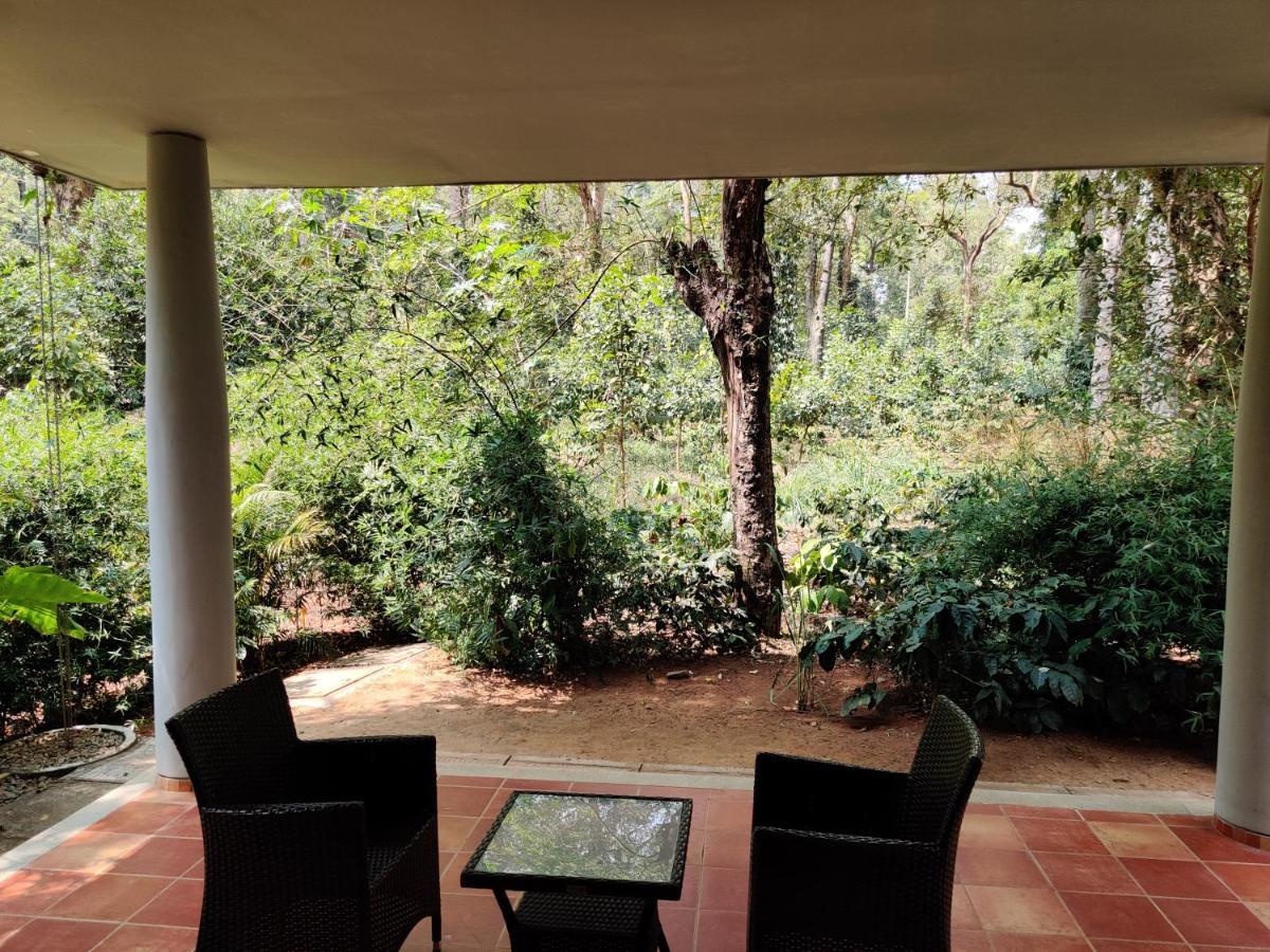 Hotel The Birchwood Retreat, Madikeri Zewnętrze zdjęcie